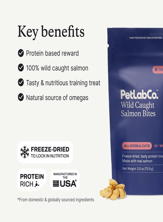 Petlab Co. Wild Caught Salmon Freeze-Dried Dog Treats, Support Overall Skin Health with Healthy Dog Treats, Packed with Beneficial Fatty Acids, Vitamins, & Minerals - Packaging May Vary - Image 5